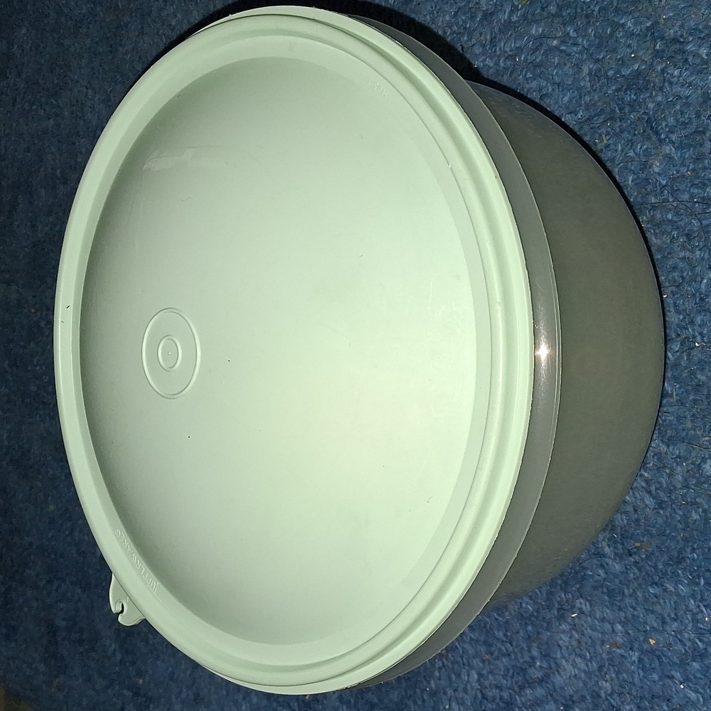 Tupperware Crisp It Lettuce Keeper